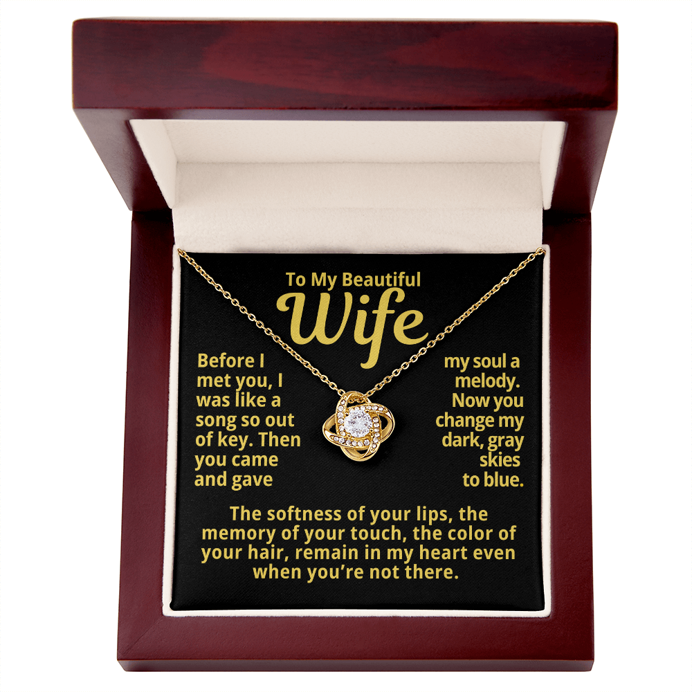To My Wife Gift | You Gave My Soul A Melody | Forever Love Necklace