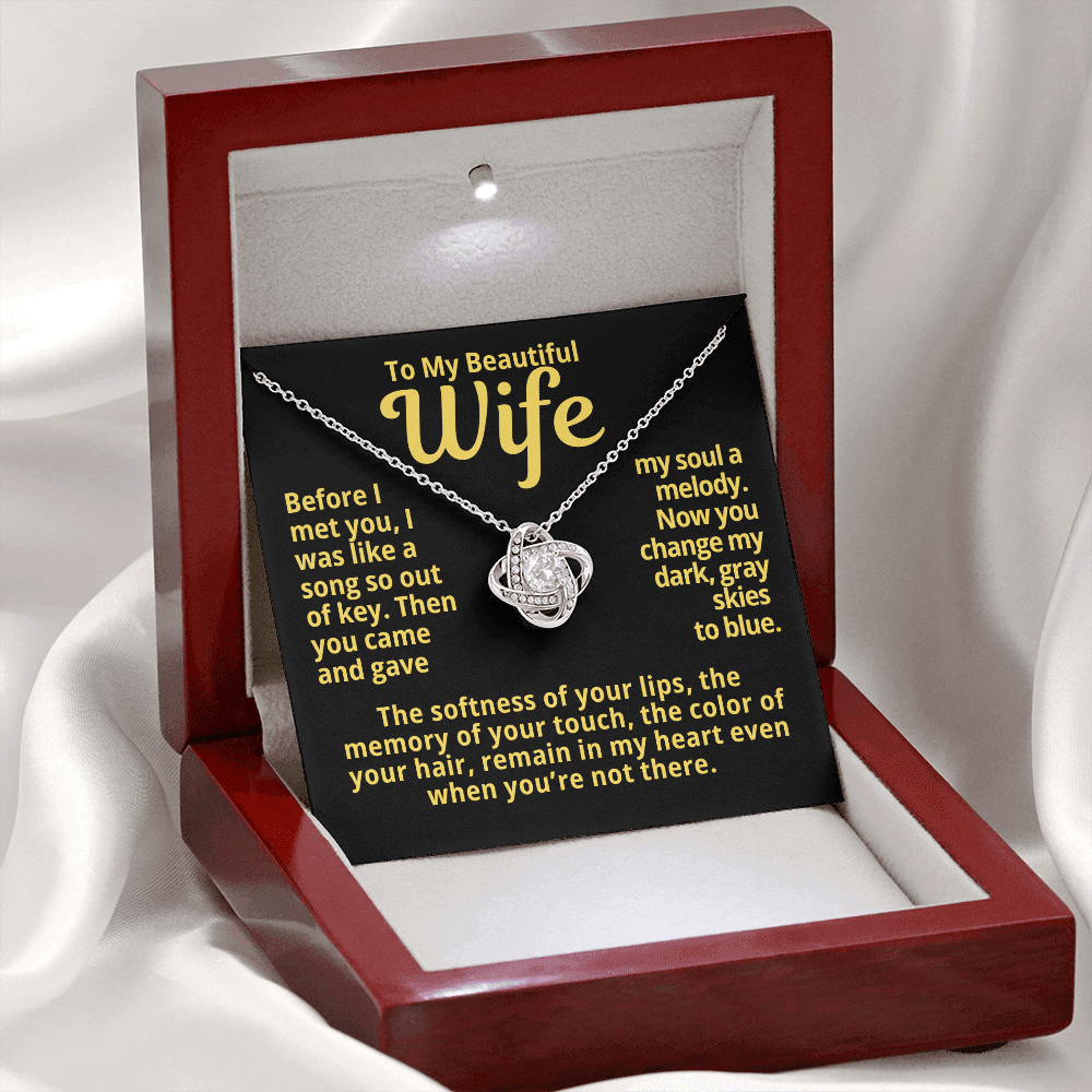 To My Wife Gift | You Gave My Soul A Melody | Forever Love Necklace