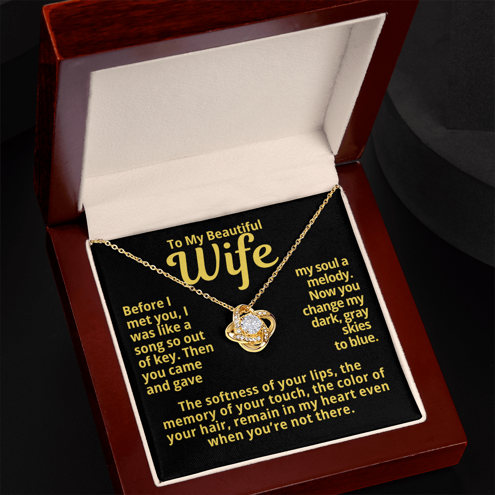 To My Wife Gift | You Gave My Soul A Melody | Forever Love Necklace