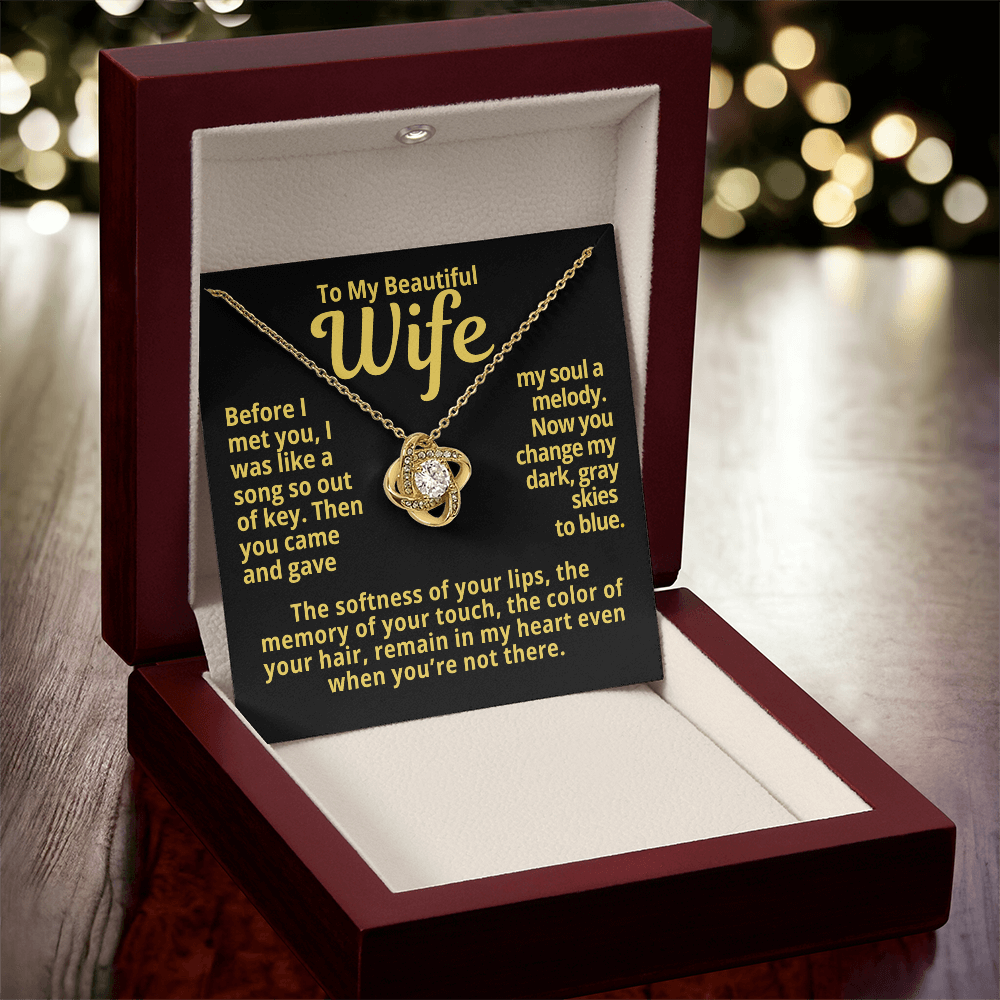 To My Wife Gift | You Gave My Soul A Melody | Forever Love Necklace